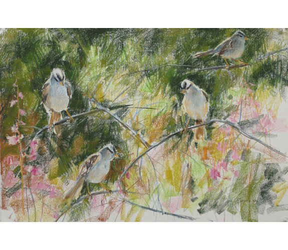 Randena Walsh "White-Crowned Sparrows"